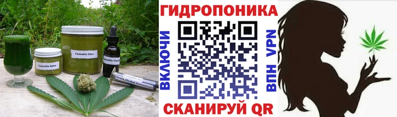 Cannafood марихуана Высоковск