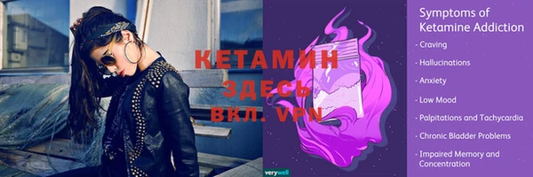 стаф Верея