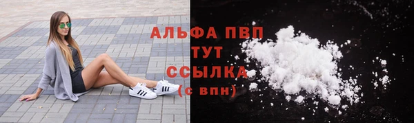 молекула духа Белоозёрский