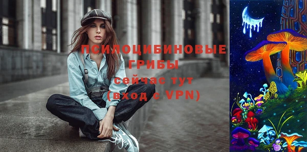 ГАЛЛЮЦИНОГЕННЫЕ ГРИБЫ Белокуриха