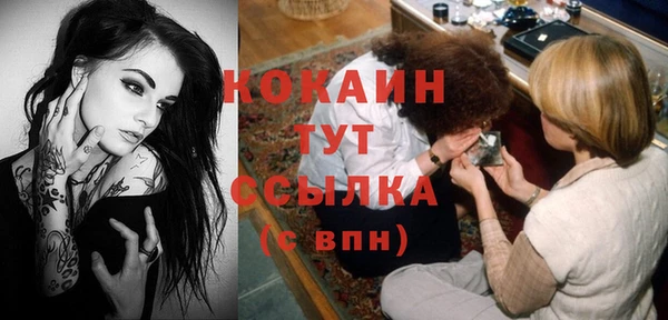 спайс Беломорск
